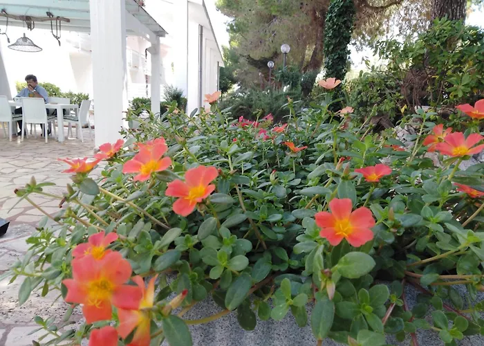 Raggio Di Sole